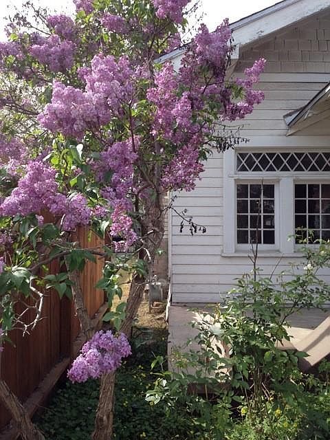 1st image of 748 E Dudley Ave