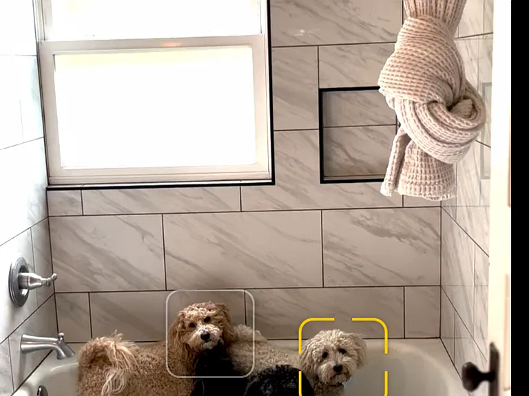 Cast iron tub. Puppies not included.