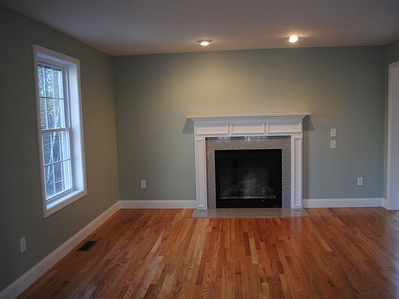 Standard gas fireplace