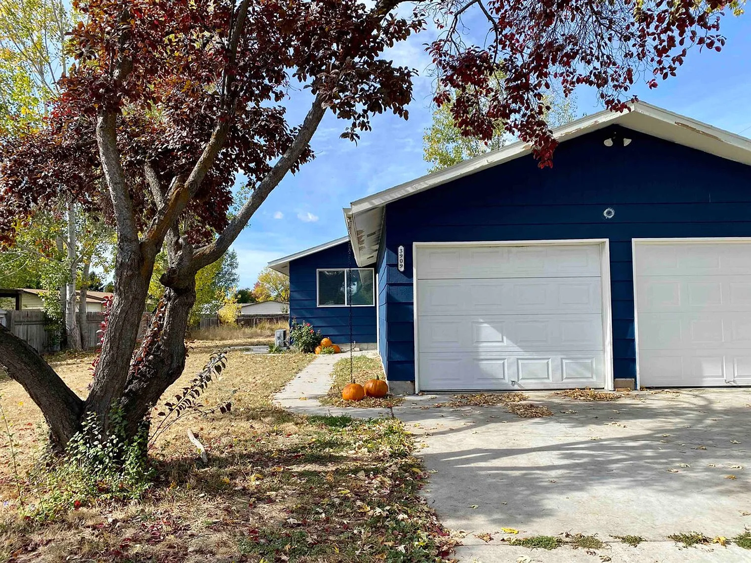 2 bed, 1.0 bath, 818 sqft, $3,542 — Photo 4