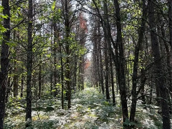 25942 Clark Road, Webster, WI 54893