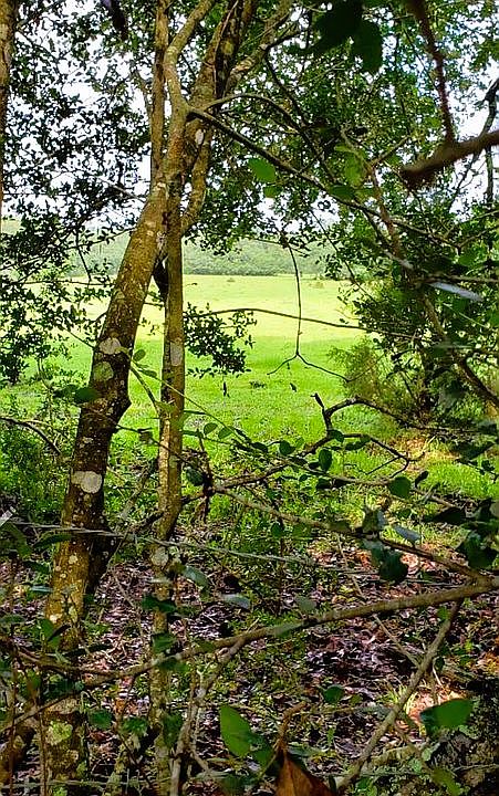 Perfect hill for dream home