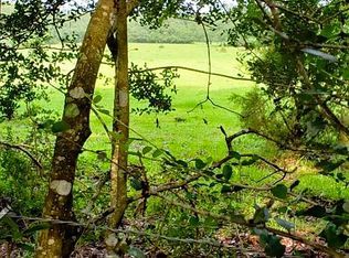 0 Shakey Joe Rd, Vernon, FL 32462