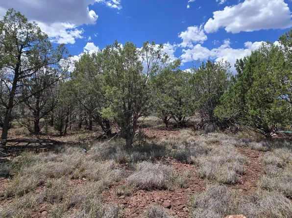 2470 N Luana Dr, Williams, AZ 86046