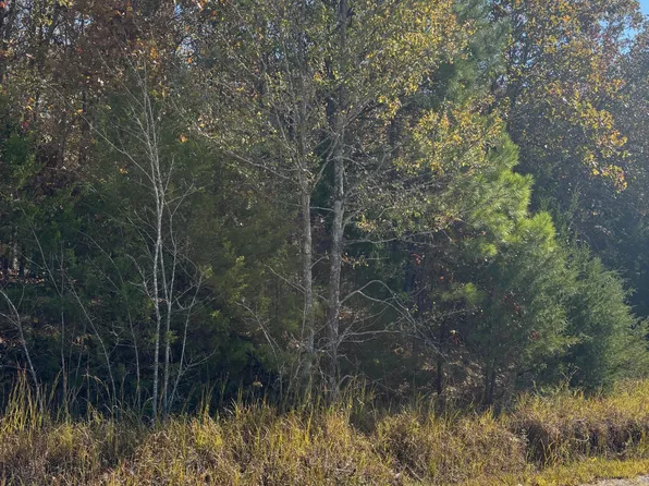 139 David Cv, Byhalia, MS 38611