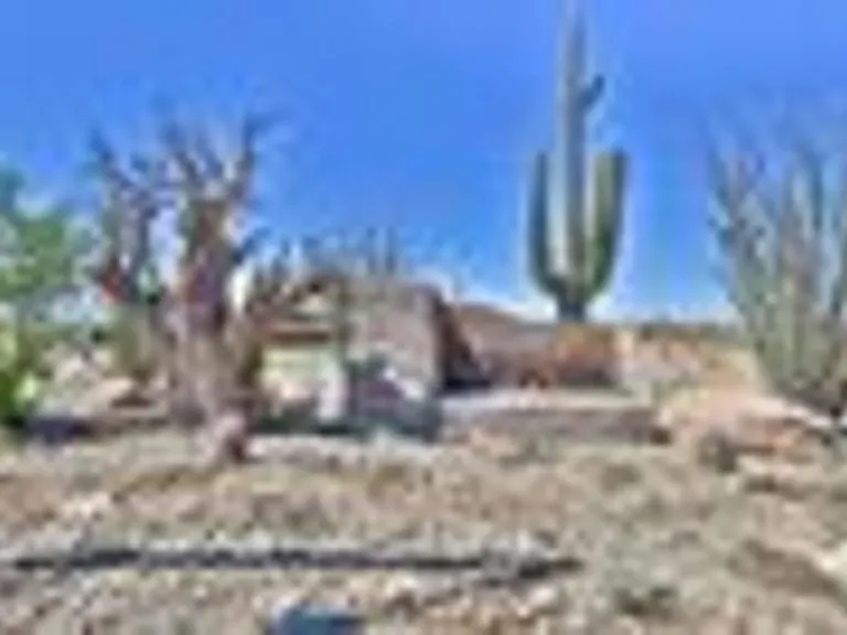 12556 W Cassia Trl — Photo 22