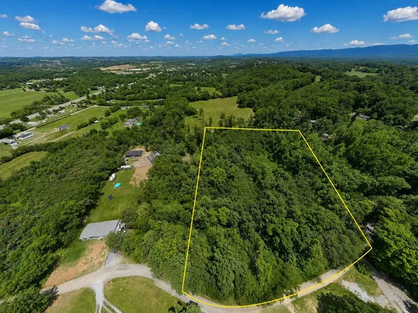 1175 McGhee Rd, Greenback, TN 37742