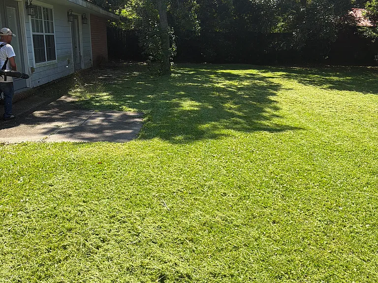 102 Kathy St — Photo 8