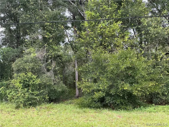 1235 E Bismark St, Hernando, FL 34442