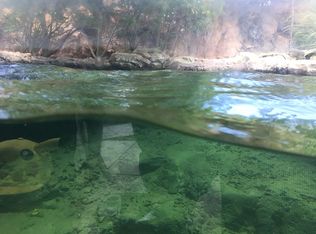 538 Forest Rd, Northford, CT 06472