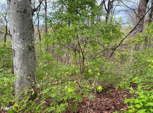 Missionary Ridge Rd, Newport, TN 37821