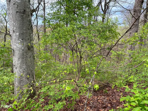 Missionary Ridge Rd, Newport, TN 37821