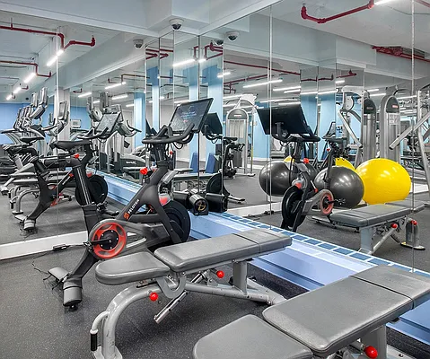 Rented by Mirador Real Estate | media 32