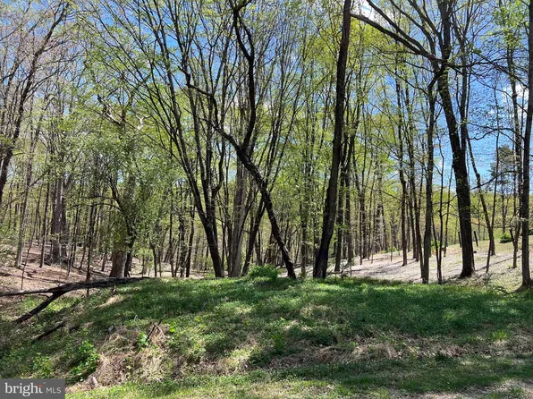 Timber Rdg, Berkeley Springs, WV 25411