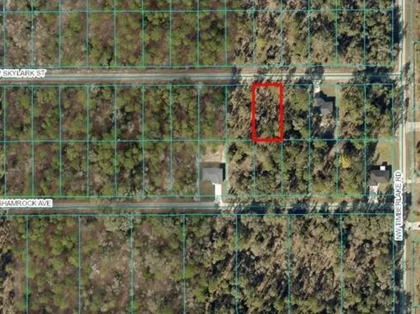 Tba Nw Skylark St Lot 30, Dunnellon, FL 34431