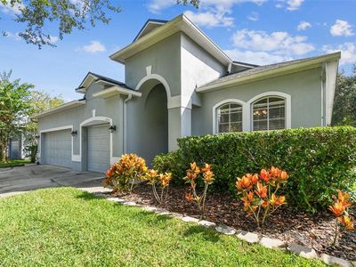 19215 Meadow Pine Dr, Tampa, FL, 33647