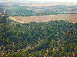 27502 Road 12, Pleasant View, CO 81331