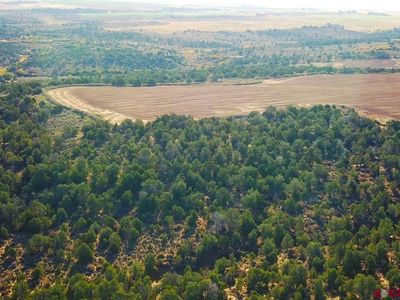 27502 Road 12, Pleasant View, CO, 81331