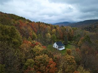 1155 Fall Clove Rd, Delancey, NY 13752