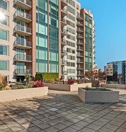 Spacious rooftop garden