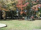 back yard!