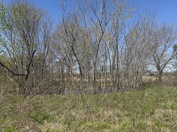 5th image of 150 Carter Rd