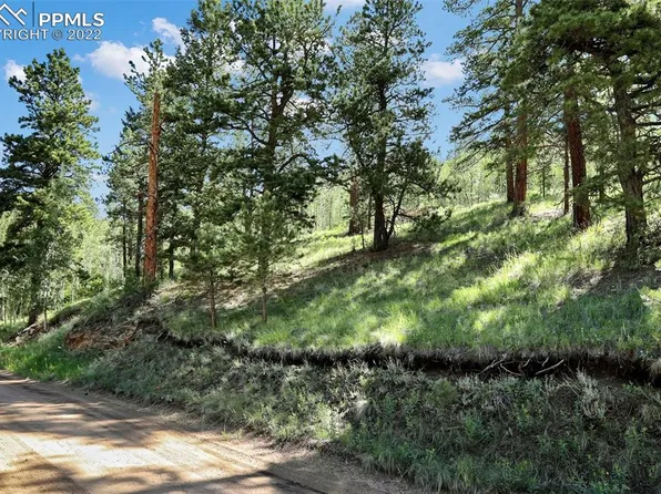 9455 Canyon Dr, Cascade, CO 80809