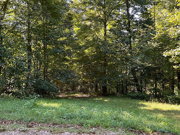 3rd image of LOT 34 Springs Ln