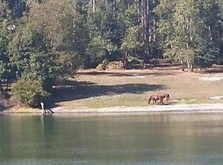 18596 Demko Rd, Altoona, FL 32702