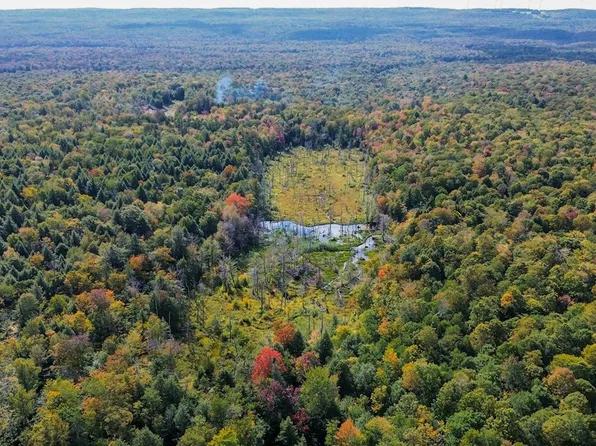 999 Jerseyfield Rd #8, Little Falls, NY 13365