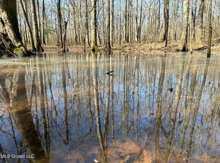 Highway 35, Carthage, MS 39051