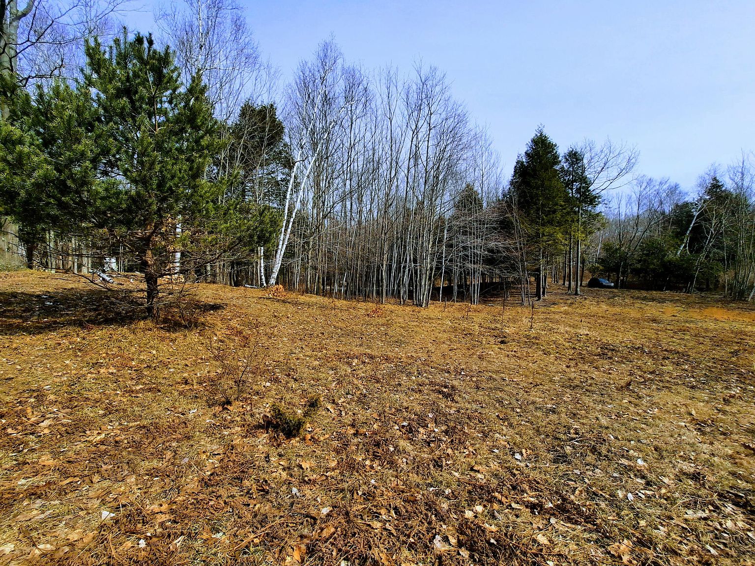 LOT 47 Smith Rd, Onekama, MI 49675 MLS 23009735 Zillow
