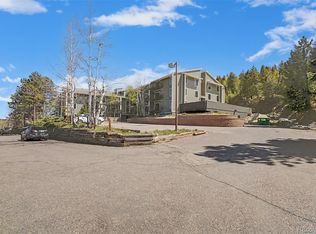 31270 John Wallace Rd APT 412, Evergreen, CO 80439