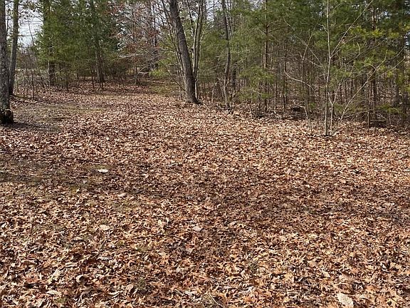 3rd image of 187 Pine Tag Ln Lot 63