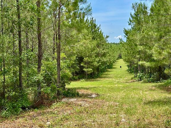 3rd image of 0 Jim Pruett Rd
