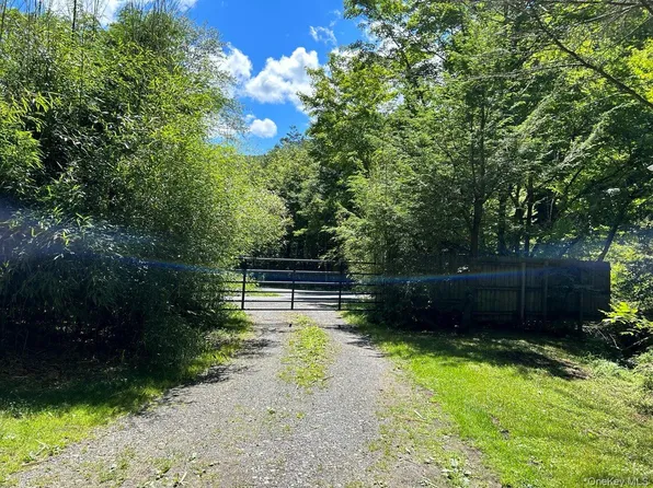 351 Greenville Road, Sundown, NY 12740