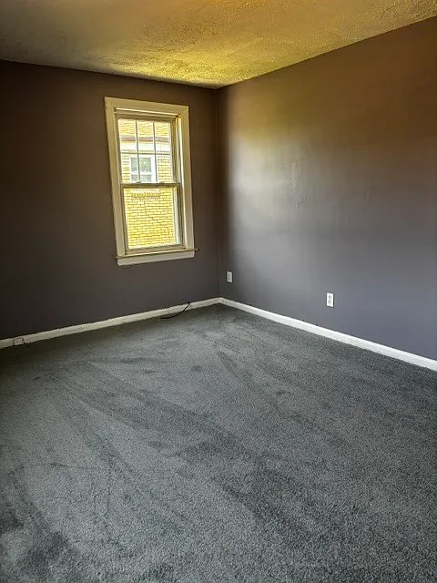1931 Ewald Circle - 1 — Photo 3