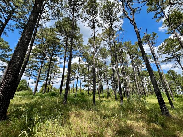 0 County Road 40, Union Springs, AL 36089