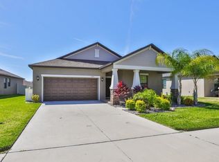 11033 Little Blue Heron Dr, Riverview, FL 33579