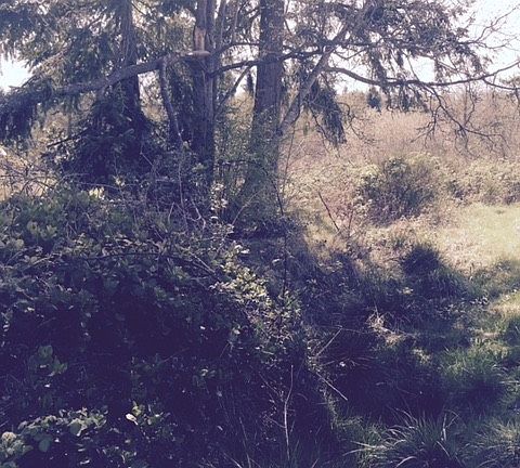 5th image of 0 Lot 10 Dunlap Drive