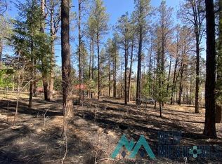 31 Don Jose Dr, Rociada, NM 87742