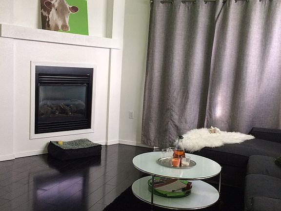 Living room fireplace