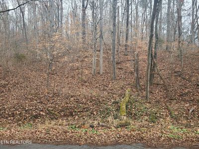 Keystown Rd, Luttrell, TN, 37779