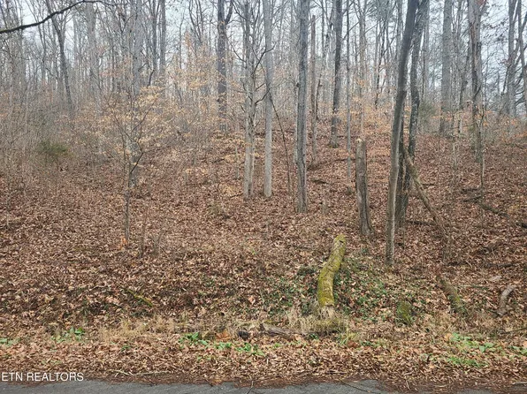 Keystown Rd, Luttrell, TN 37779