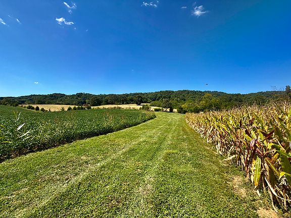 5th image of 6795 Gap Creek Rd