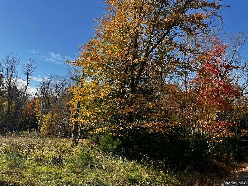 2nd image of Painter Hill Road