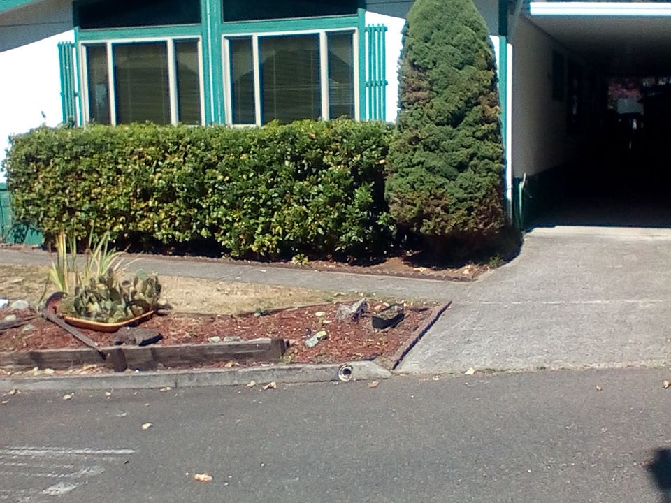 1st image of 14673 S Plum Dr #276