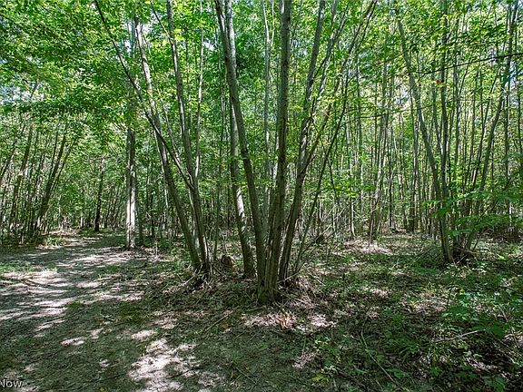 5th image of Dunham Rd Lot 3