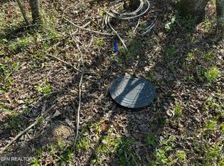 Brewstertown Cemetery Rd, Robbins, TN 37852