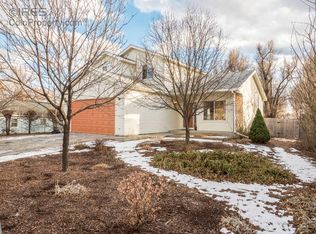 3817 Lincoln Ave, Wellington, CO 80549